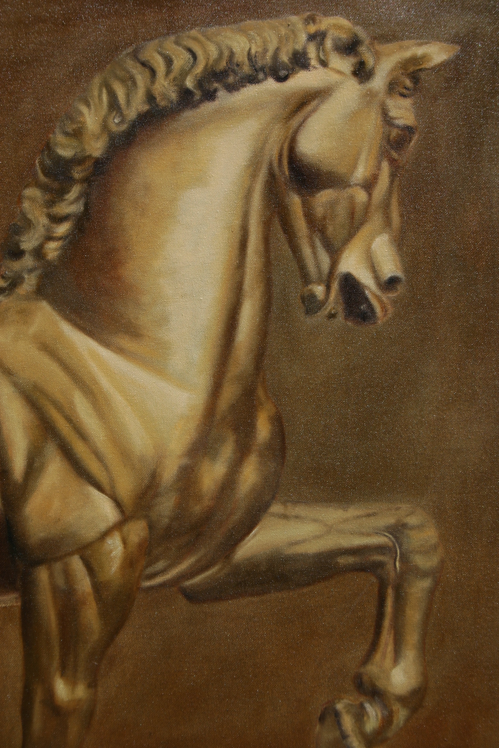 Pferde Portrait